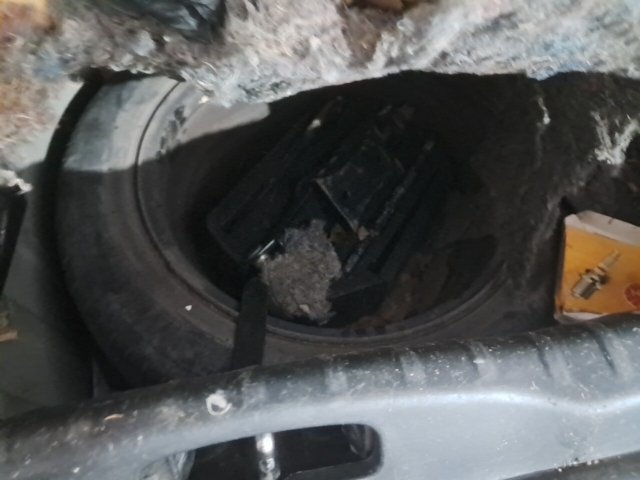 Vehicle_photo_8