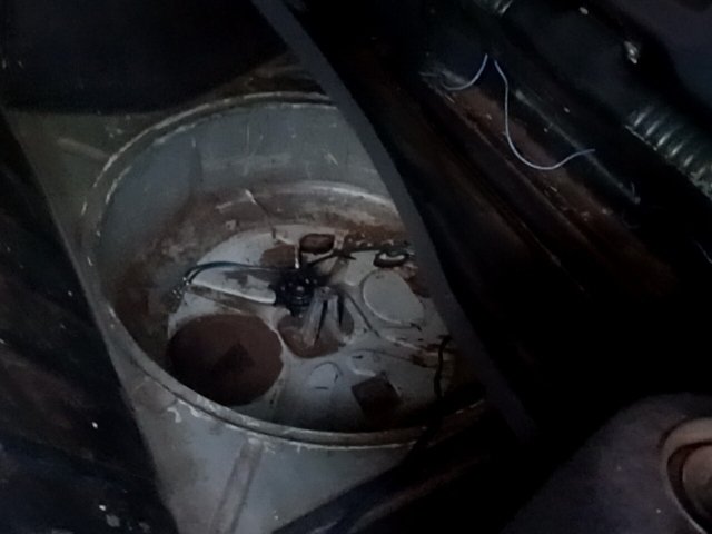 Vehicle_photo_11