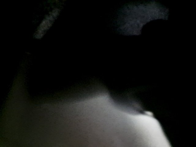 Vehicle_photo_17