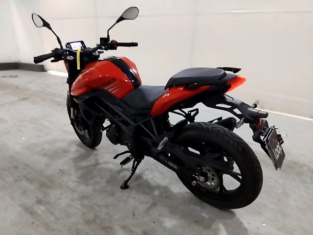 SHINERAY XY 250-5  Traseira Motorista