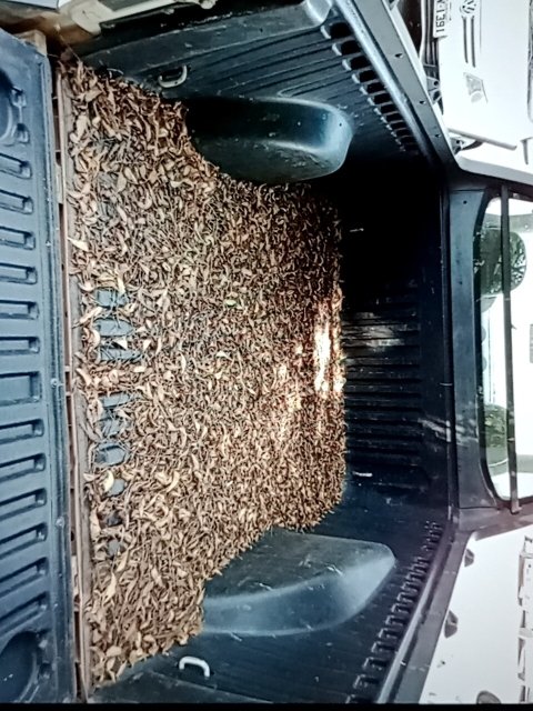 Vehicle_photo_11