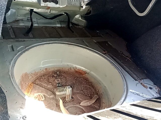 Vehicle_photo_11