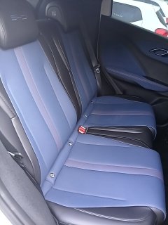 BYD DOLPHIN MINI GS EV Bancos traseiros