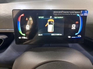 BYD DOLPHIN MINI GS EV Painel KM
