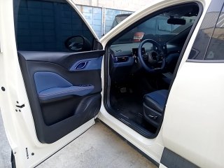BYD DOLPHIN MINI GS EV Porta e interior motorista
