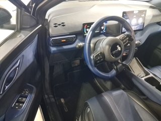 BYD DOLPHIN MINI GS EV Porta e interior motorista
