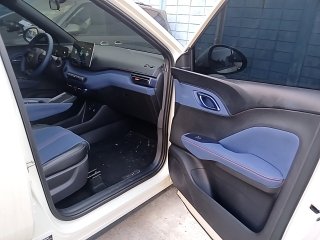 BYD DOLPHIN MINI GS EV Porta e interior passageiro