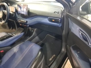 BYD DOLPHIN MINI GS EV Porta e interior passageiro