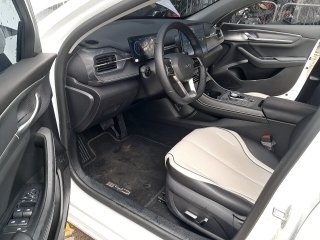 BYD KING GS DM Porta e interior motorista