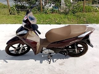 HONDA BIZ 125 Porta e interior motorista