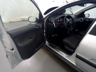 PEUGEOT 207 ESCAPADE Porta e interior motorista