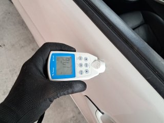 PORTA DIANTEIRA LADO ESQUERDO 