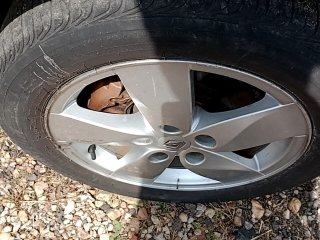 RENAULT FLUENCE DYN20A Pneu dianteiro esq.