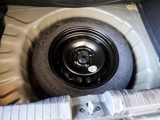 RENAULT KARDIAN EVO MT Estepe