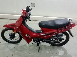 SHINERAY 50Q  Porta e interior passageiro