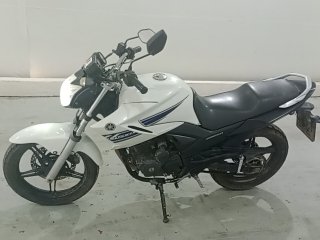 YAMAHA FAZER250 BLUEFLEX Porta e interior motorista