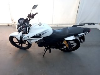 YAMAHA YS150 FAZER SED Porta e interior motorista