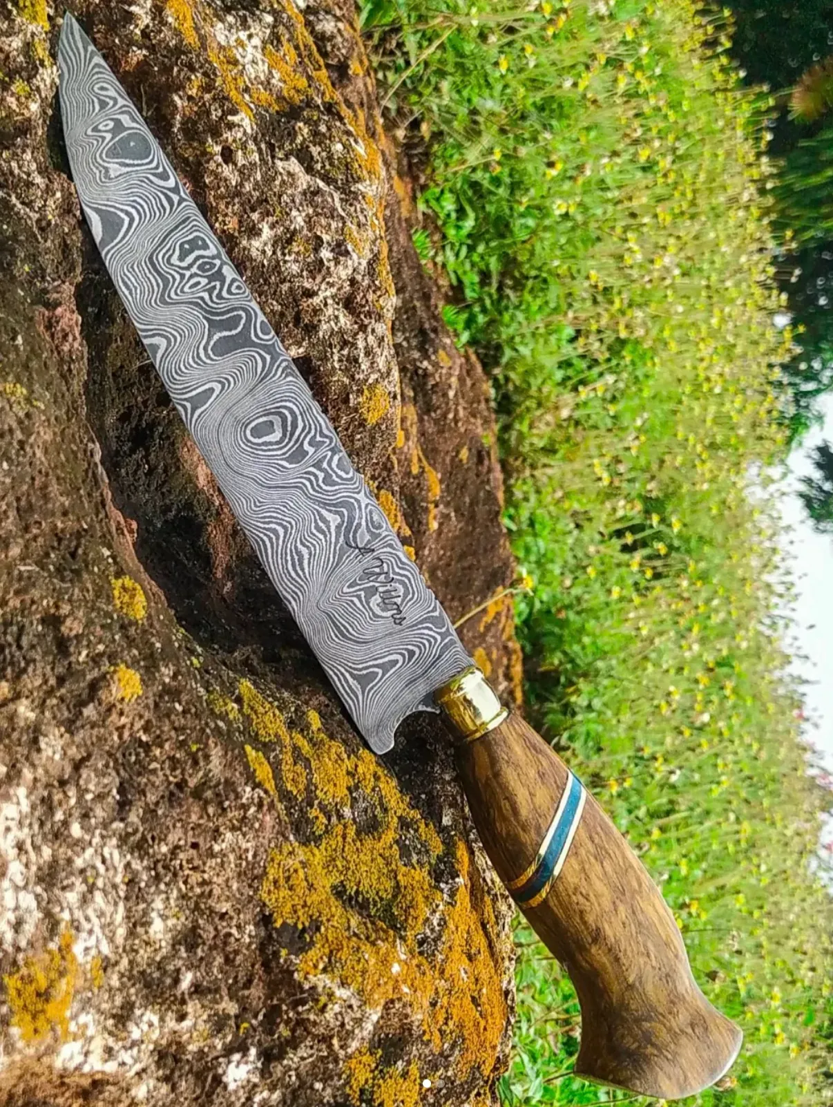 Gaúcha Damasco