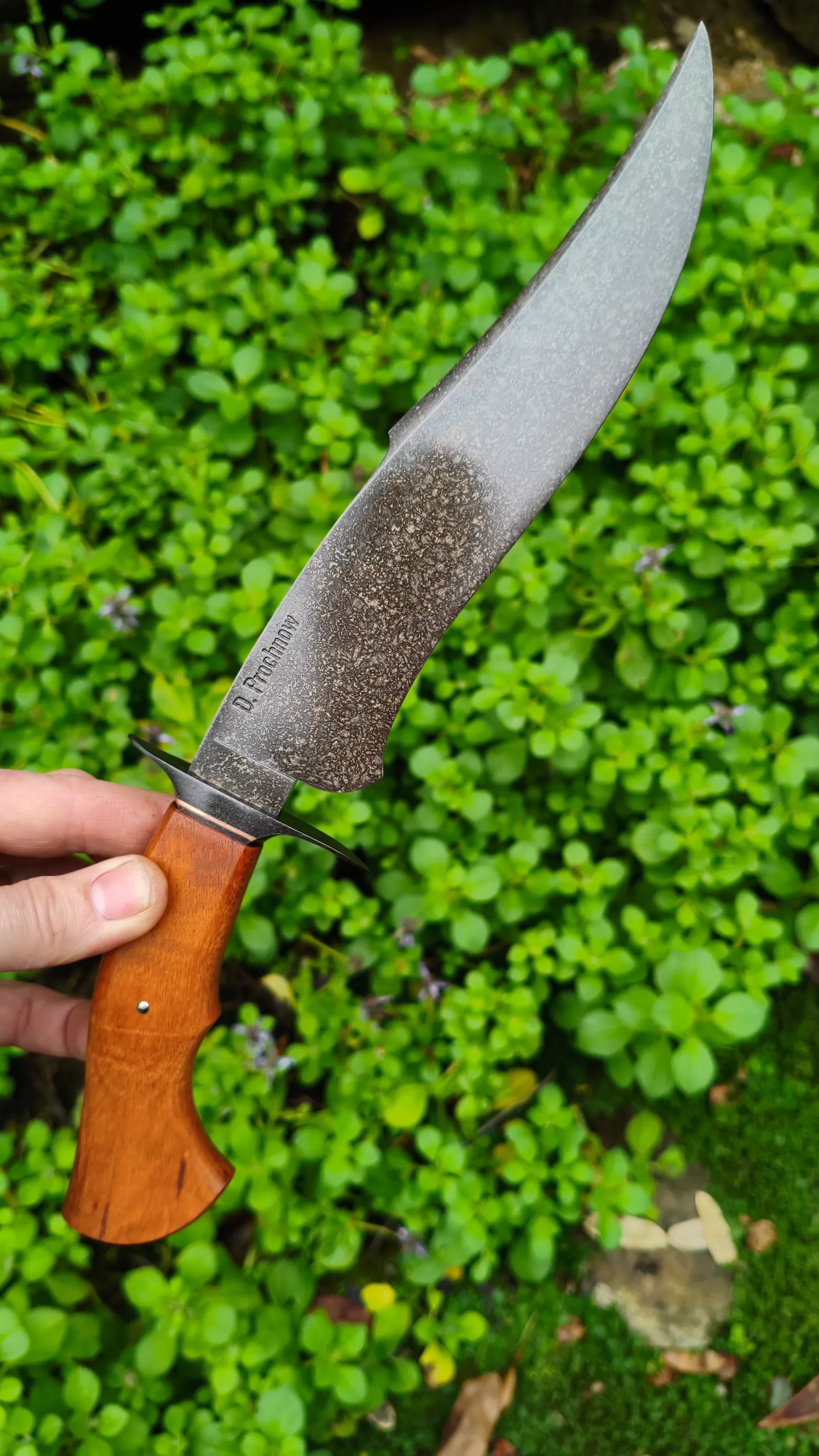 Bowie recurva